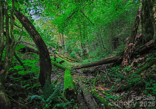 1st image of 000 Cove Mountain Rd, Burnsville, NC 28714 | MLS# 4411351