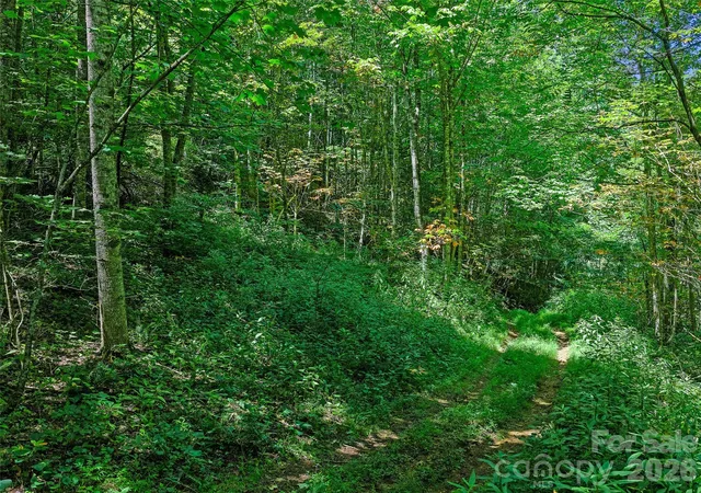 33rd image of 000 Cove Mountain Rd, Burnsville, NC 28714 | MLS# 4411351