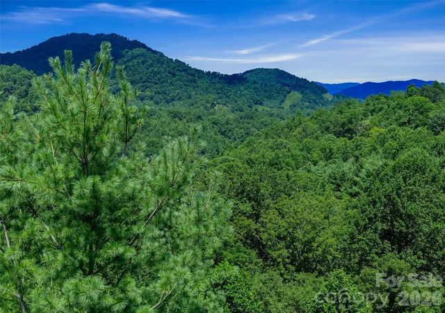 5th image of 000 Cove Mountain Rd, Burnsville, NC 28714 | MLS# 4411351