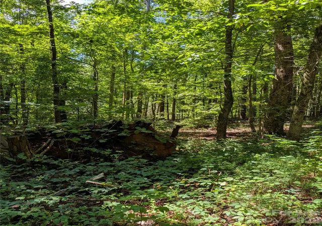 2nd image of 0 Freedom Mill Rd #9, Gastonia, NC 28052 | MLS# 4411412