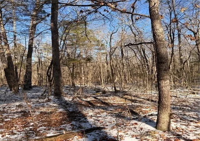 2nd image of 00 Stokes Ferry Rd, Gold Hill, NC 28071 | MLS# 4411431