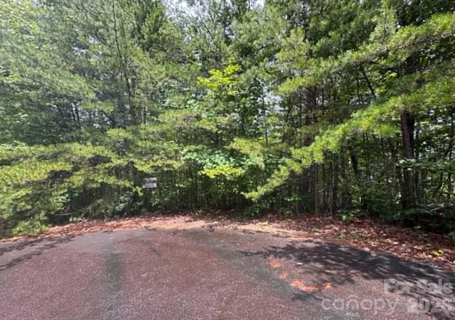 1st image of Tbd Fire Tower Rd, Bostic, NC 28018 | MLS# 4411464