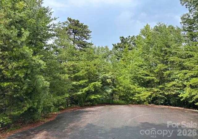 2nd image of Tbd Fire Tower Rd, Bostic, NC 28018 | MLS# 4411464