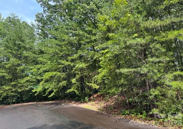 3rd image of Tbd Fire Tower Rd, Bostic, NC 28018 | MLS# 4411464