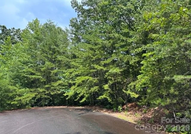 4th image of Tbd Fire Tower Rd, Bostic, NC 28018 | MLS# 4411464