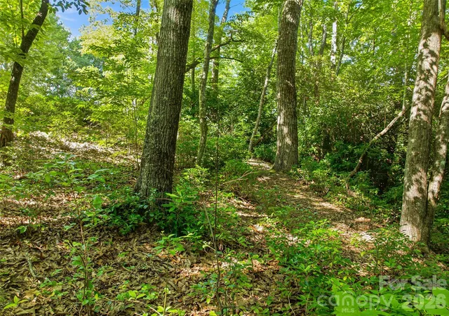 Land for sale at 0000 Red Bud Ln #3-F, Laurel Park, NC 28739 | MLS# 4411495