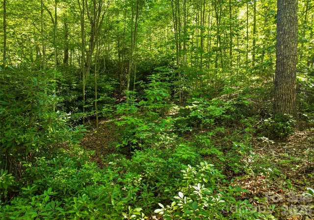 Photo 3 of Land for sale at 0000 Red Bud Ln #3-F, Laurel Park, NC 28739 | MLS# 4411495 | Listing updated on 2026-10-16