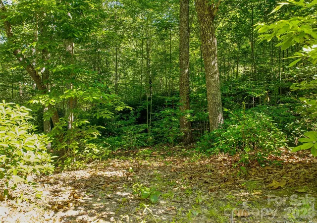 Photo 3 of Land for sale at 0000 Red Bud Ln #3-F, Laurel Park, NC 28739 | MLS# 4411495 | Listing updated on 2026-08-09