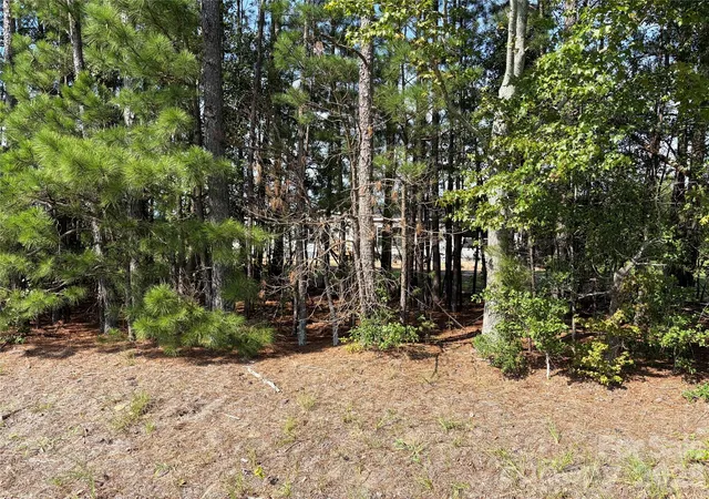 Photo 37 of Single family home for sale at 816 Hough St, Mount Croghan, SC 29727 | MLS# 4411530 | Listing updated on 2026-08-13