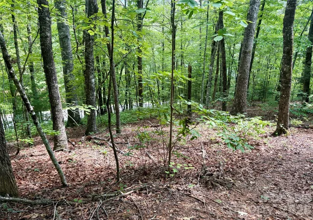 Photo 1 of Land for sale at 0 Watia Rd, Bryson City, NC 28713 | MLS# 4411626 | Listing updated on 2026-08-28