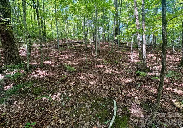 Photo 3 of Land for sale at 0 Watia Rd, Bryson City, NC 28713 | MLS# 4411626 | Listing updated on 2026-08-28