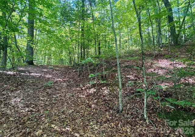 Photo 5 of Land for sale at 0 Watia Rd, Bryson City, NC 28713 | MLS# 4411626 | Listing updated on 2026-08-28