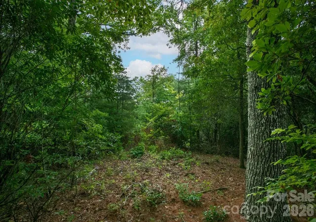 4th image of Lot 10 Emma Bri Ln #10, Hendersonville, NC 28739 | MLS# 4411630