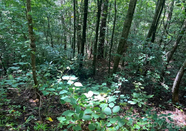 Photo 3 of Land for sale at 0 Old Johns River Rd, Collettsville, NC 28611 | MLS# 4411648 | Listing updated on 2026-09-04