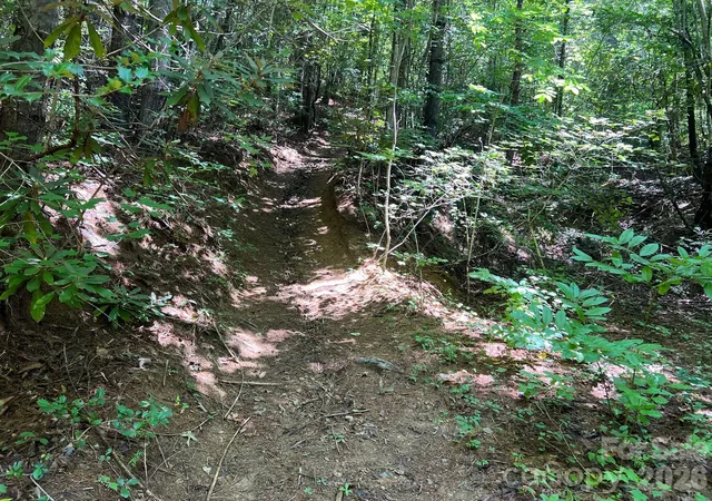 Photo 4 of Land for sale at 0 Old Johns River Rd, Collettsville, NC 28611 | MLS# 4411648 | Listing updated on 2026-09-04