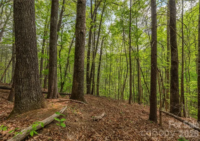 Photo 3 of Land for sale at 0000 Pressley Crk Rd, Cullowhee, NC 28723 | MLS# 4411654 | Listing updated on 2026-08-06
