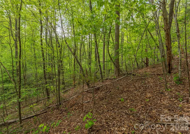 Photo 4 of Land for sale at 0000 Pressley Crk Rd, Cullowhee, NC 28723 | MLS# 4411654 | Listing updated on 2026-08-06