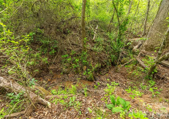 Photo 5 of Land for sale at 0000 Pressley Crk Rd, Cullowhee, NC 28723 | MLS# 4411654 | Listing updated on 2026-08-06