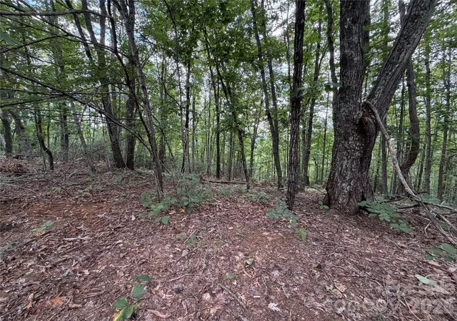 16th image of 69 Idlewood Ln, Bostic, NC 28018 | MLS# 4411659