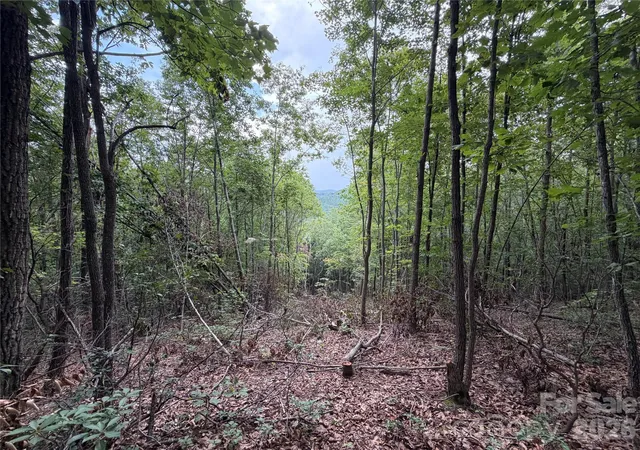 2nd image of 69 Idlewood Ln, Bostic, NC 28018 | MLS# 4411659