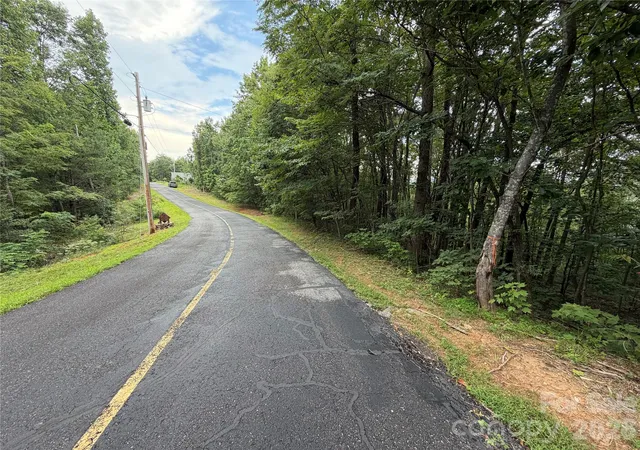 4th image of 69 Idlewood Ln, Bostic, NC 28018 | MLS# 4411659