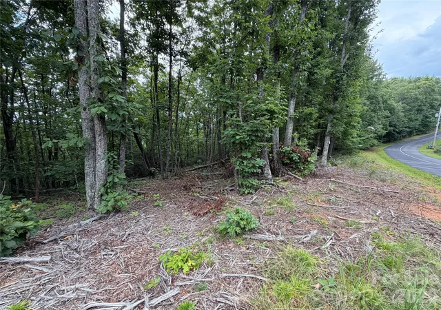 5th image of 69 Idlewood Ln, Bostic, NC 28018 | MLS# 4411659