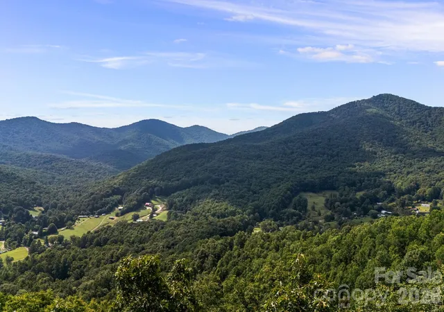 32nd image of 99999 Beaverdam Loop Rd, Candler, NC 28715 | MLS# 4411679