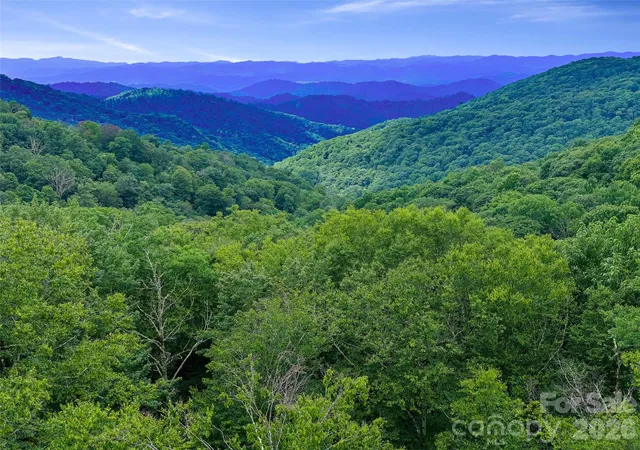 1st image of 0 Ogle Meadows Rd #81, Burnsville, NC 28714 | MLS# 4411683