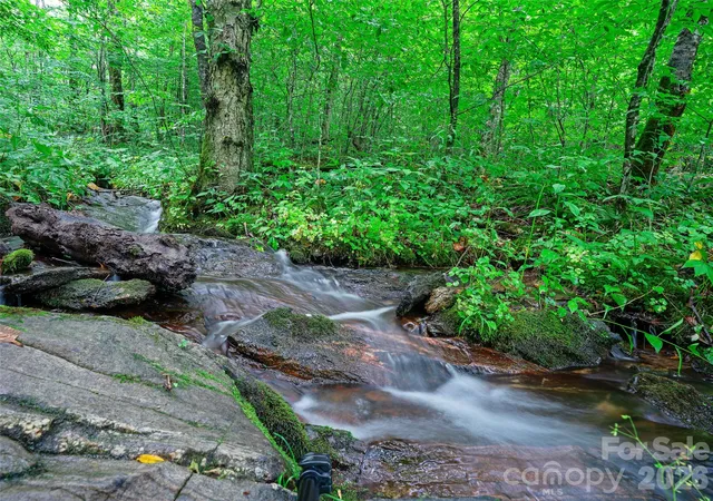 4th image of 0 Ogle Meadows Rd #81, Burnsville, NC 28714 | MLS# 4411683