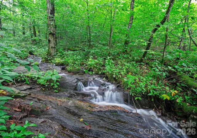5th image of 0 Ogle Meadows Rd #81, Burnsville, NC 28714 | MLS# 4411683