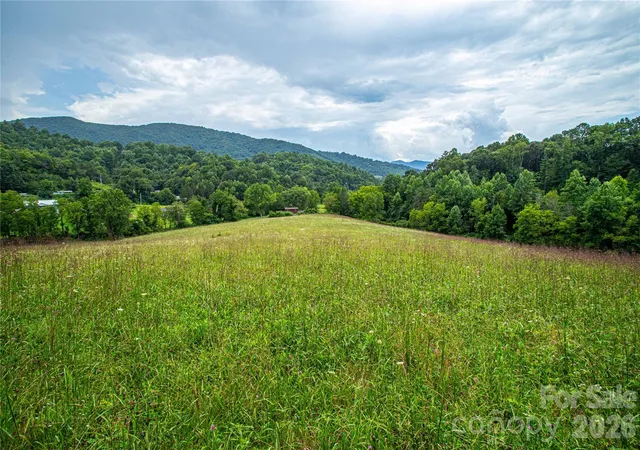 36th image of 132 Hurd Rd, Canton, NC 28716 | MLS# 4411733