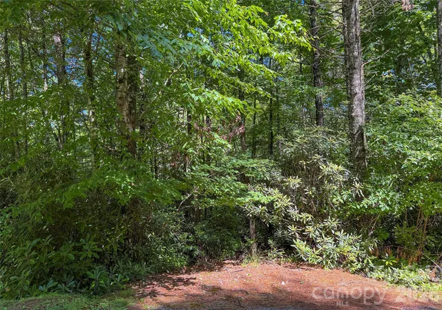 Photo 3 of Land for sale at G24 Bailey Ln #G24, Sapphire, NC 28774 | MLS# 4411781 | Listing updated on 2026-08-06