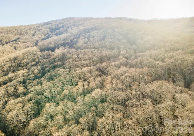 3rd image of 00 Wildflower Cove Rd #18, Swannanoa, NC 28778 | MLS# 4411789