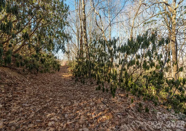 36th image of 00 Wildflower Cove Rd #18, Swannanoa, NC 28778 | MLS# 4411789