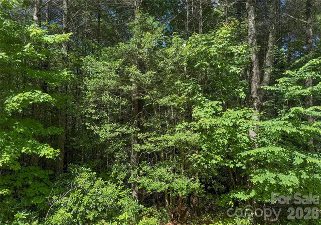 Photo 3 of Land for sale at G25 Bailey Ln #G25, Sapphire, NC 28774 | MLS# 4411856 | Listing updated on 2026-08-06