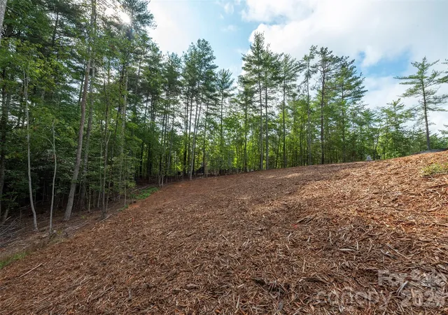 34th image of 1156 Campbells Tr, Nebo, NC 28761 | MLS# 4411887