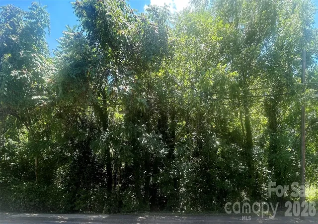 1st image of 0 S Long St, East Spencer, NC 28039 | MLS# 4411925