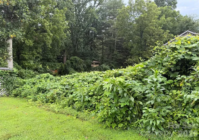 Photo 3 of Land for sale at 00000 Duckworth Ave #1, Brevard, NC 28712 | MLS# 4411981 | Listing updated on 2026-08-07
