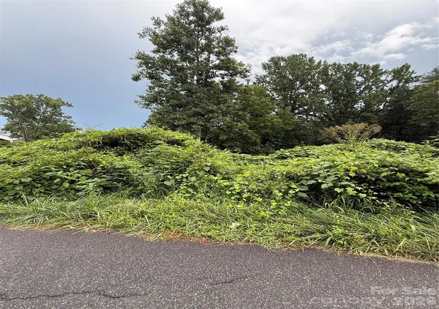 Photo 5 of Land for sale at 00000 Duckworth Ave #1, Brevard, NC 28712 | MLS# 4411981 | Listing updated on 2026-08-07
