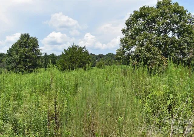 16th image of 59 Malden Ct, Crouse, NC 28033 | MLS# 4412113
