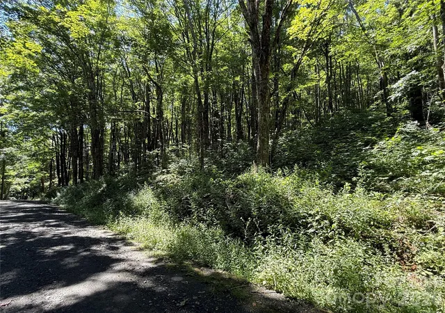 Photo 4 of Land for sale at 7 Wolfsbane Trl #7, Todd, NC 28684 | MLS# 4412115 | Listing updated on 2026-08-06