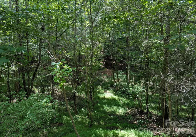 Photo 8 of Land for sale at 0 Austin Dr #13, Marshall, NC 28753 | MLS# 4412116 | Listing updated on 2026-08-11