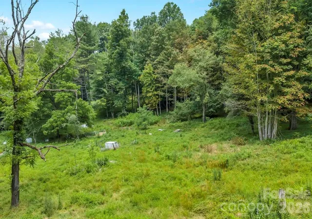 Photo 2 of Land for sale at Tbd Bethel Rd, Sugar Grove, NC 28679 | MLS# 4412138 | Listing updated on 2026-08-06