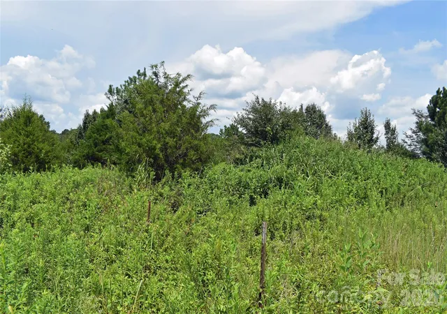 22nd image of 60 Malden Ct, Crouse, NC 28033 | MLS# 4412152