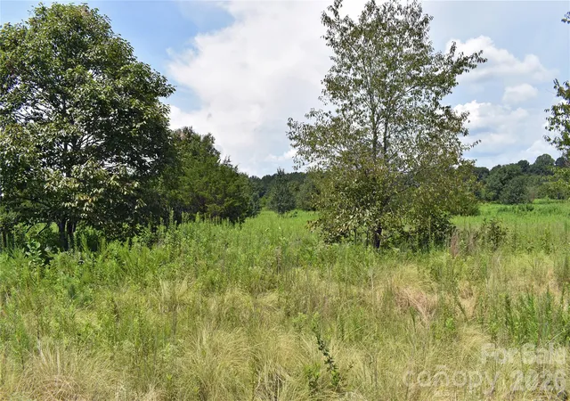 4th image of 60 Malden Ct, Crouse, NC 28033 | MLS# 4412152