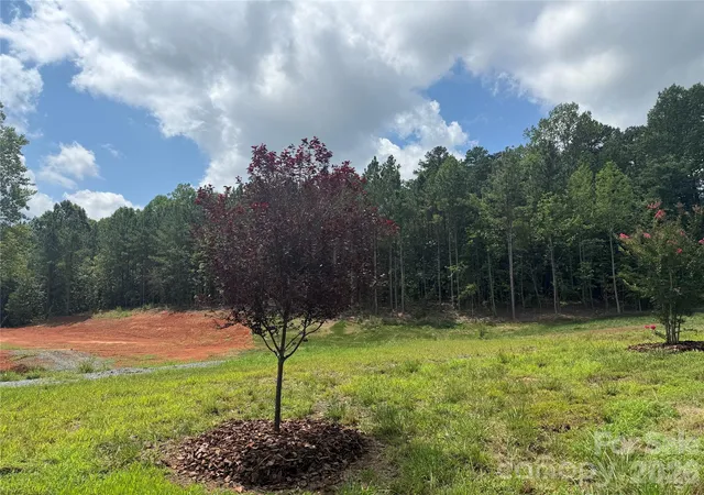 Photo 2 of Land for sale at 10300 Fink Rd #1, Mount Pleasant, NC 28124 | MLS# 4412154 | Listing updated on 2026-08-29