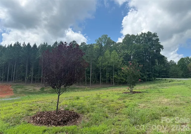 Photo 3 of Land for sale at 10300 Fink Rd #1, Mount Pleasant, NC 28124 | MLS# 4412154 | Listing updated on 2026-08-29