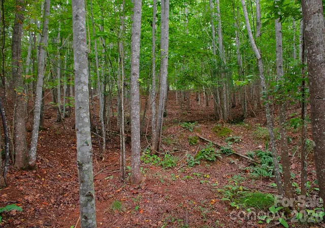1st image of 0 Creekside Cir #110, Rutherfordton, NC 28139 | MLS# 4412182