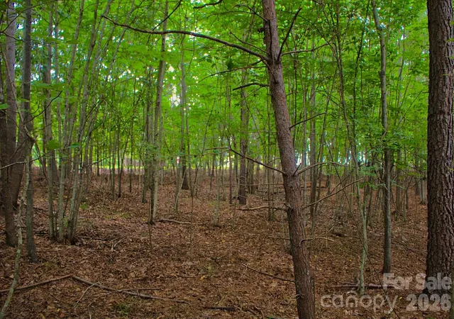2nd image of 0 Creekside Cir #110, Rutherfordton, NC 28139 | MLS# 4412182