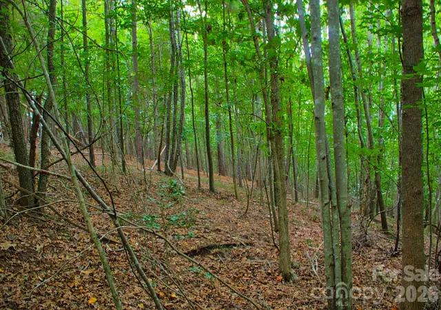 3rd image of 0 Creekside Cir #110, Rutherfordton, NC 28139 | MLS# 4412182